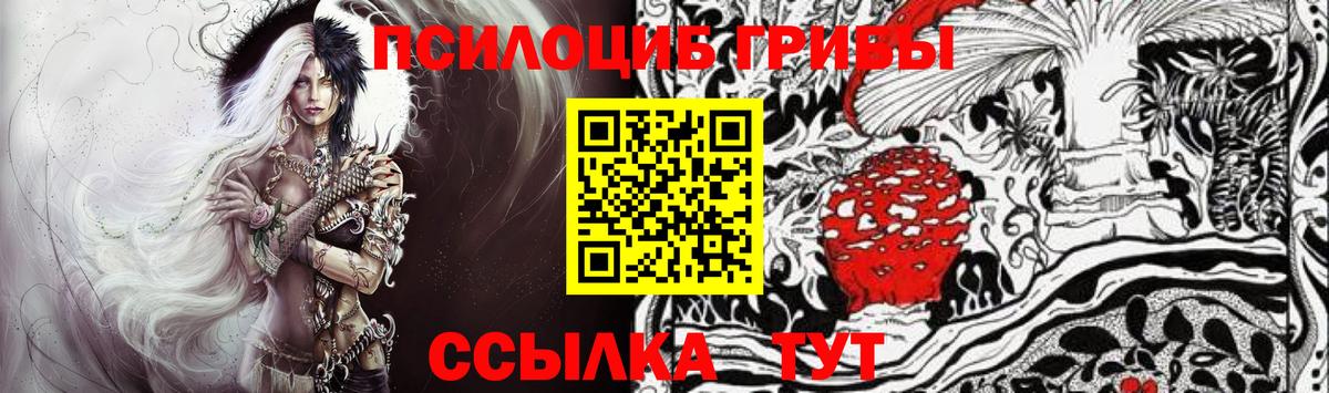 Галлюциногенные грибы GOLDEN TEACHER Корсаков