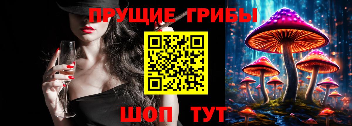 Псилоцибиновые грибы Psilocybe  Вход с VPN  Корсаков 